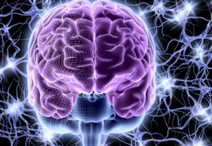 Fun Facts About Your Nervous System That'll Blow Your Mind