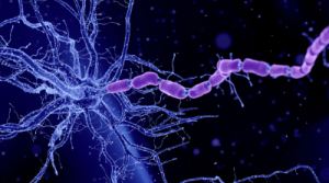 Fun Facts About the Nervous System That Actually Matter